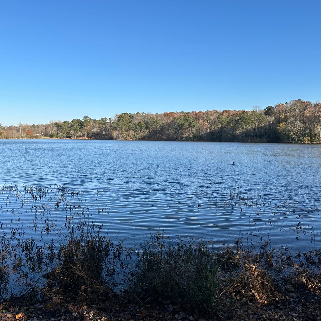 Melissa Glass : Against the Current