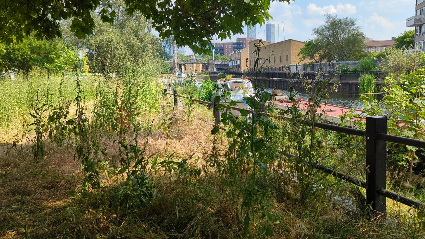 Mile End Park, Canalside