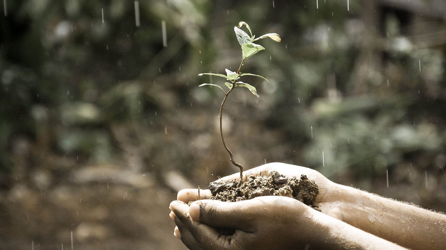 Take A Pause Ep 19: Cultivating Generosity