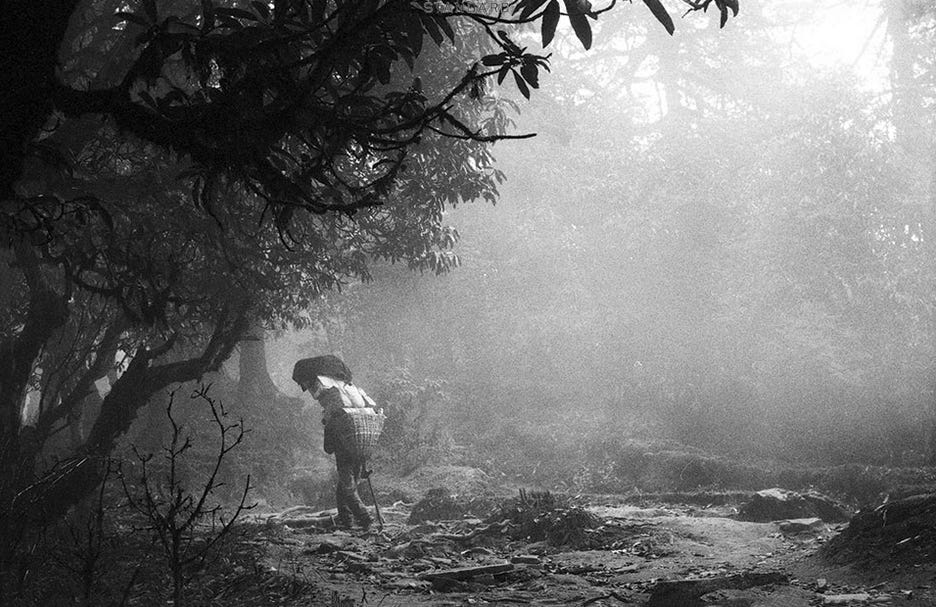 Nowhere Newsletter 08: Olivier Kervern