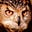 Bushbark's avatar
