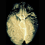 Research Matters | Beat