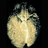 Research Matters | Beat