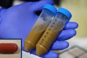 FMT capsules