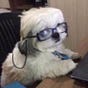 Amaniiii's avatar