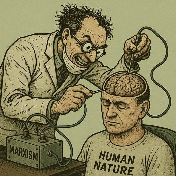 The image depicts a person in a lab coat connecting a device to a human brain, symbolizing the influence of Marxism on nature.

AI-generated content may be incorrect.