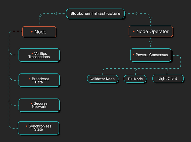 Flowchart of blockchain infrastructure on dark background. Main nodes: Node (verifies, broadcasts, secures, syncs) and Node Operator (powers consensus).