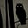 Owlcyon's avatar