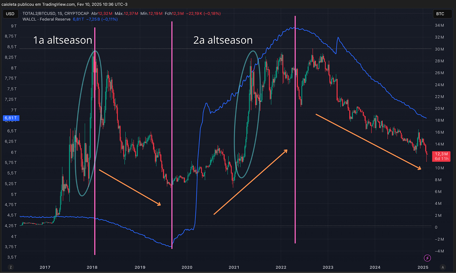 Bitcoin vs. Altcoins em 2025 - Bipa Insights