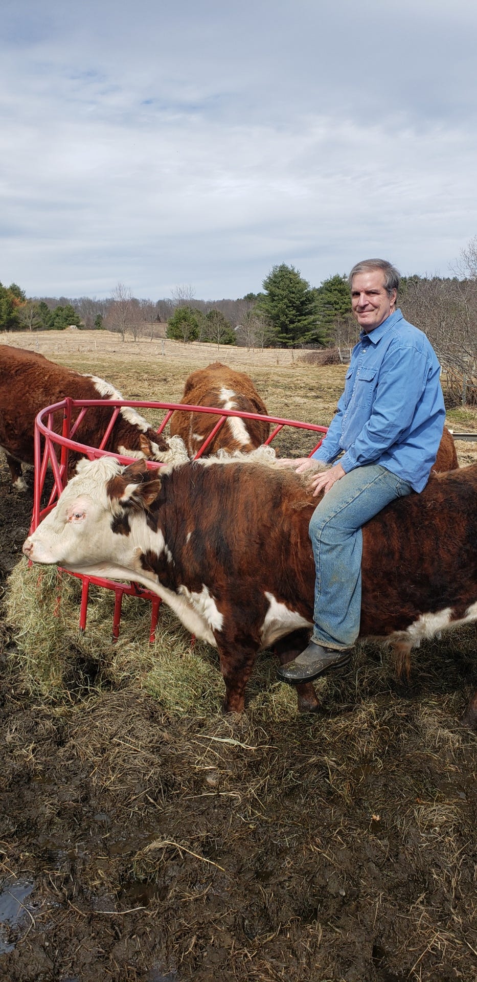John Klar sits on Hereford cattle gathered at a red hay feeder in a pasture under cloudy skies. John Klar sits on Hereford cattle gathered at a red hay feeder in a pasture under cloudy skies.