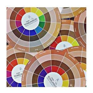 Flesh Tone Color Wheel | TERRI TOMLINSON | MAQPRO Paris | Le ...