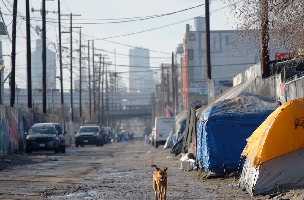 Fury grows towards LA Democrat leaders for inaction on homeless fires and dog abuse