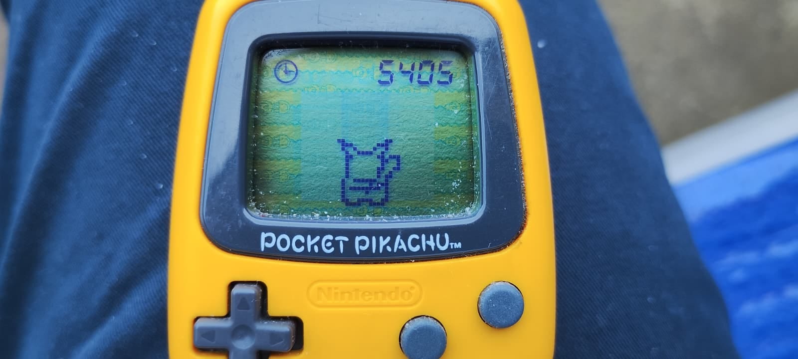 Pocket Pikachu: The One Million Steps Challenge