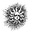 Woarna's avatar
