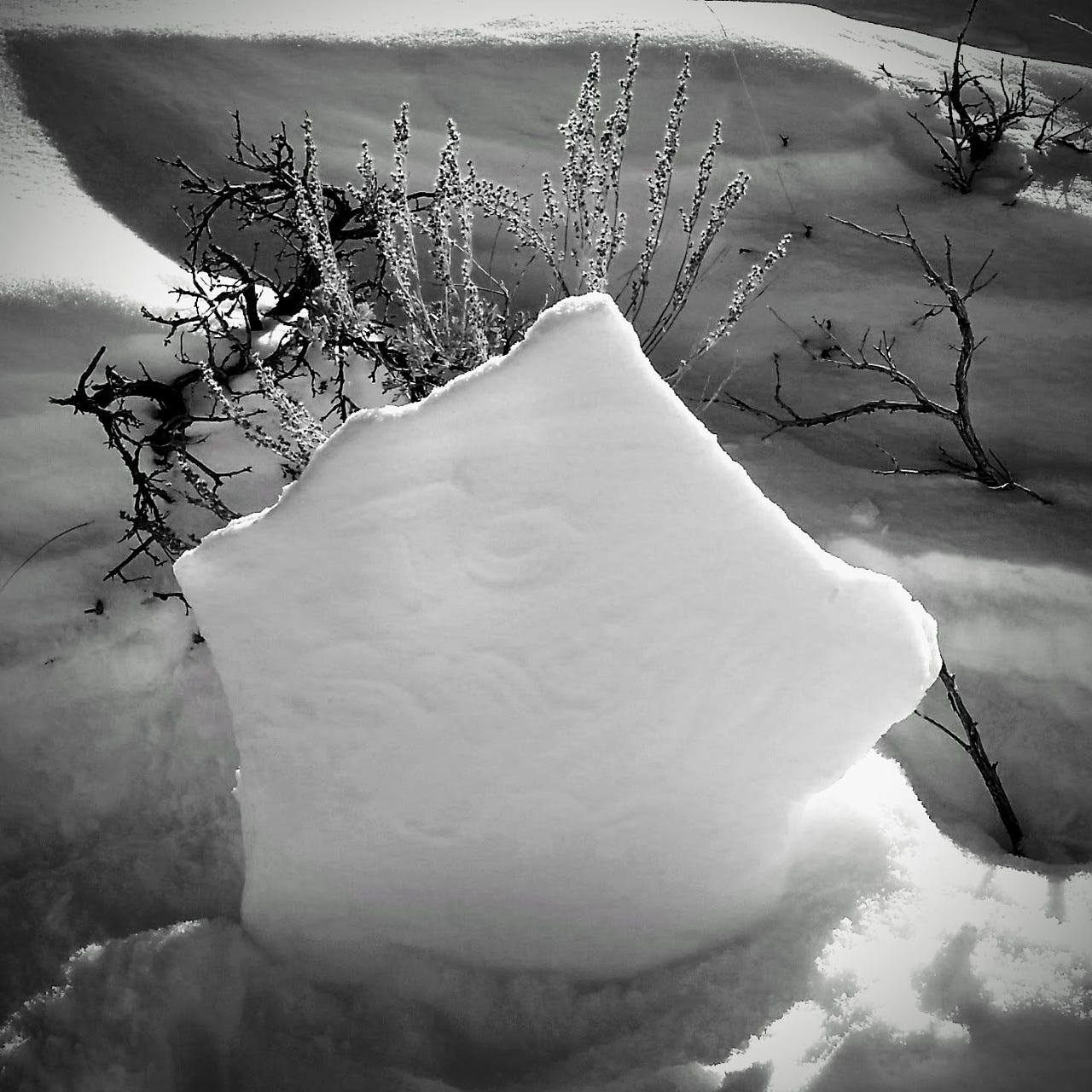 First Day Of 2017 @ Horse Prairie Station First Day Of 2017 @ Horse Prairie Station