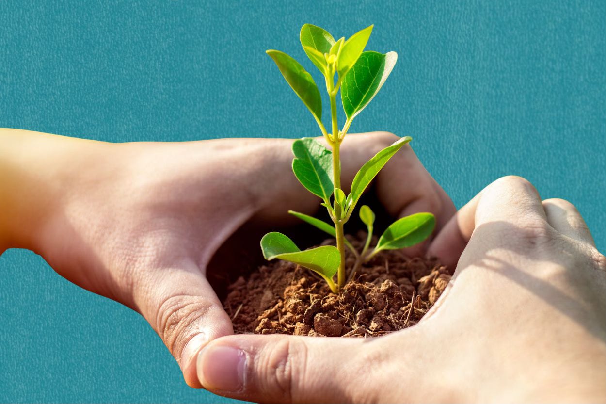 Nurture ego strength Nurture ego strength