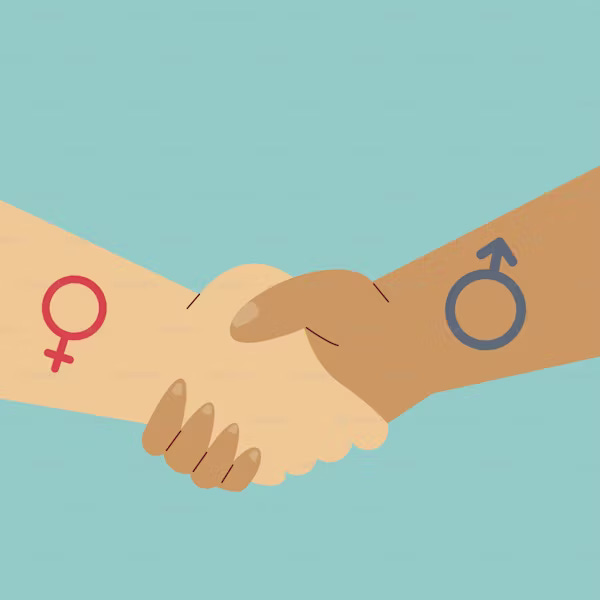 Why I Am Not A Feminist 