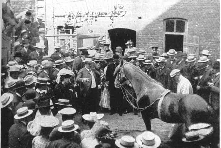 A black-and-white photograph of Clever Hans, a horse standing in a courtyard surrounded by a large crowd of onlookers in early twentieth-century dress. A handler holds the horse's reins while men and women in hats press in from all sides to watch