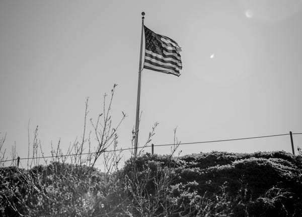 Photo by Ronan Furuta on Unsplash