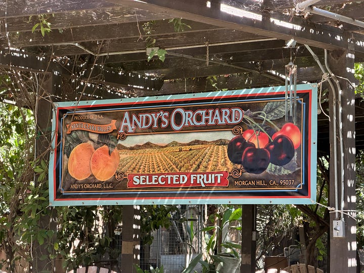 Four photos of tasting and picking fruit at Andy's Orchard in Morgan Hill.