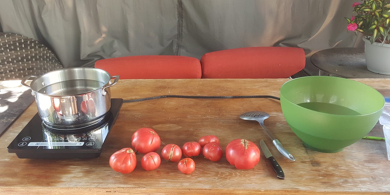 Processing Fresh Tomatoes 