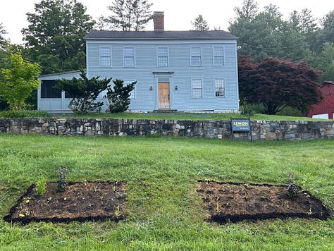 Three pictures showing process of killing off grass to make way for a garden.