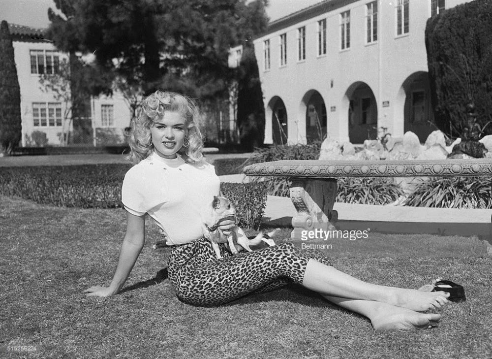 The Cat's Meow! 20 Vintage Starlets in Animal Print – columnistdiannaprince The Cat's Meow! 20 Vintage Starlets in Animal Print – columnistdiannaprince