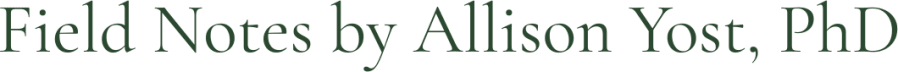 Field Notes by Allison Yost, PhD