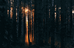 por do sol GIF por do sol GIF