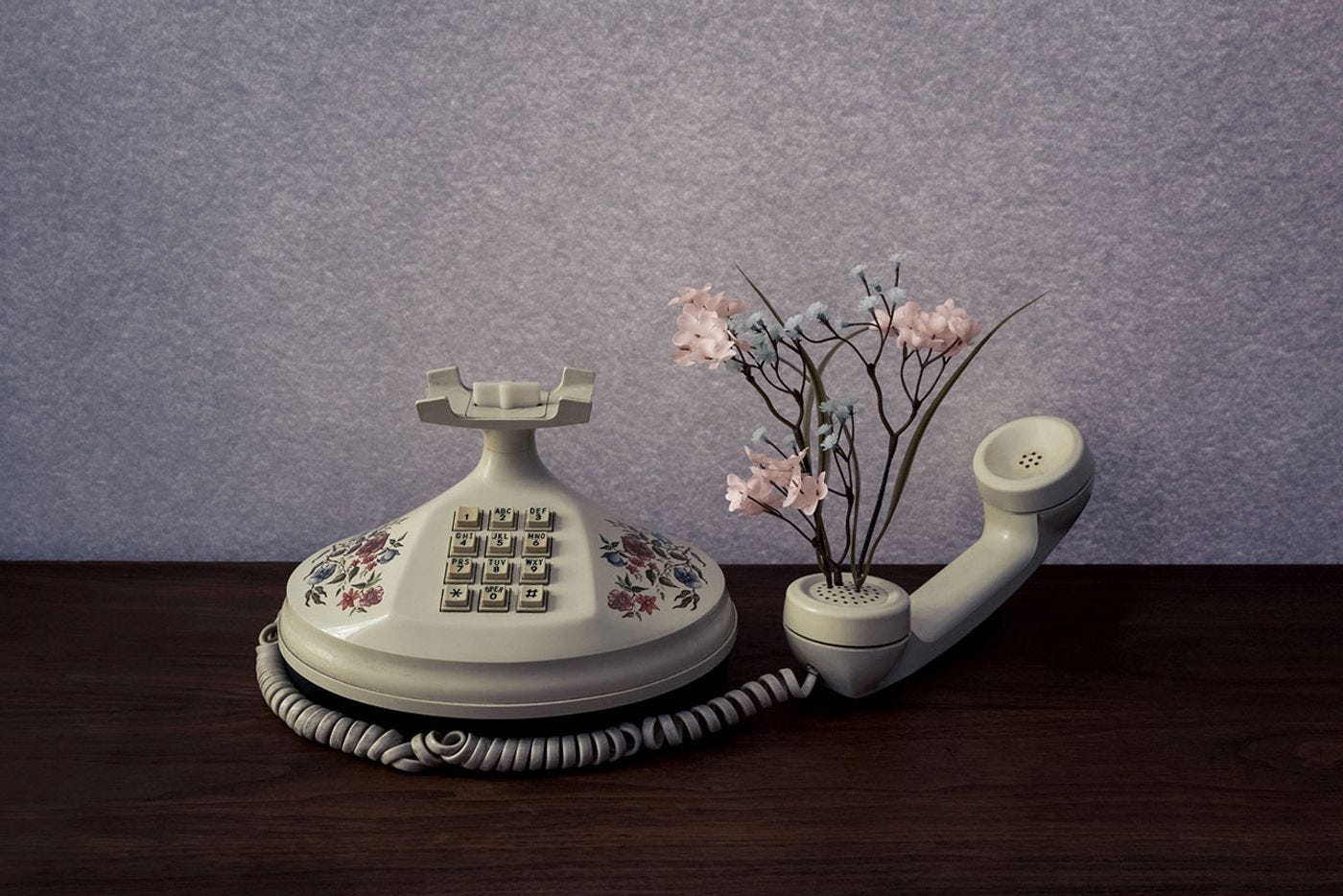 Photo © Brooke DiDonato.