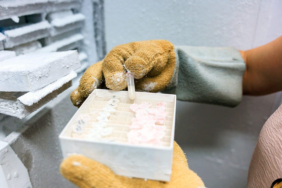 Pessoa usando luvas amarelas segura uma caixa branca contendo amostras de materiais em tons bege e rosa, com um apontador branco indicando um dos itens, em ambiente de trabalho com superfícies cinzas, materiais de construção ao fundo e uma toalha verde próxima. Pessoa usando luvas amarelas segura uma caixa branca contendo amostras de materiais em tons bege e rosa, com um apontador branco indicando um dos itens, em ambiente de trabalho com superfícies cinzas, materiais de construção ao fundo e uma toalha verde próxima.