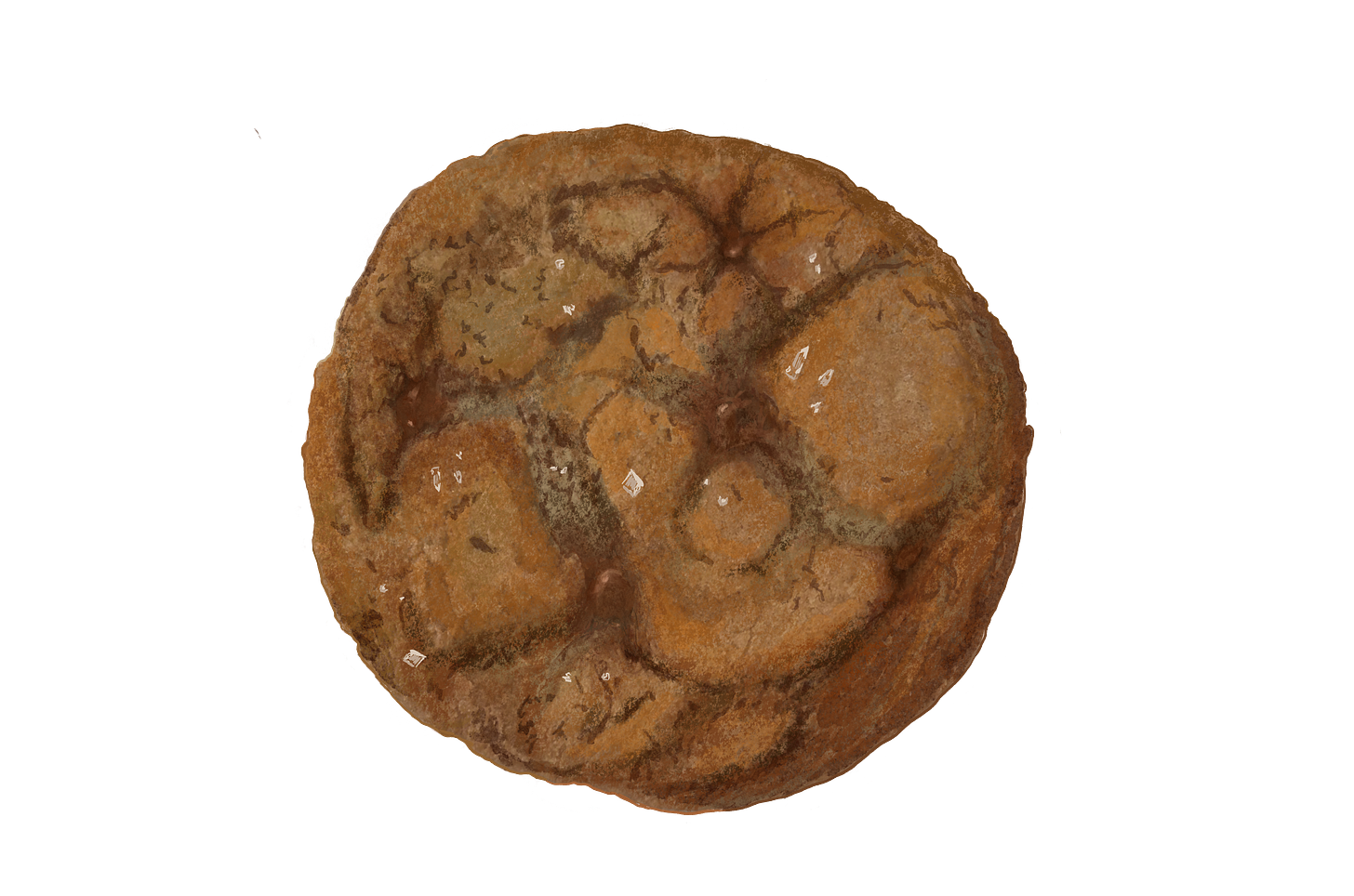 Rigor Hill Market's buckwheat chocolate chip cookie