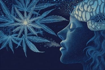 This shows a person's head and leaves.