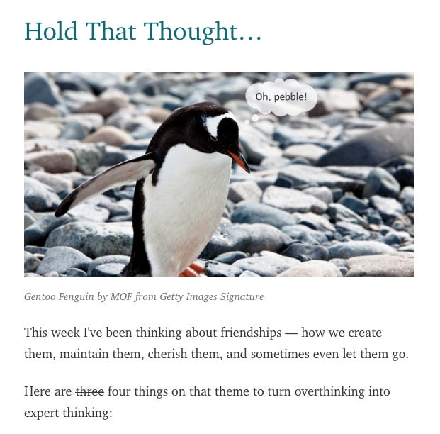 Screenshot of top of newsletter featuring penguin and intro text.