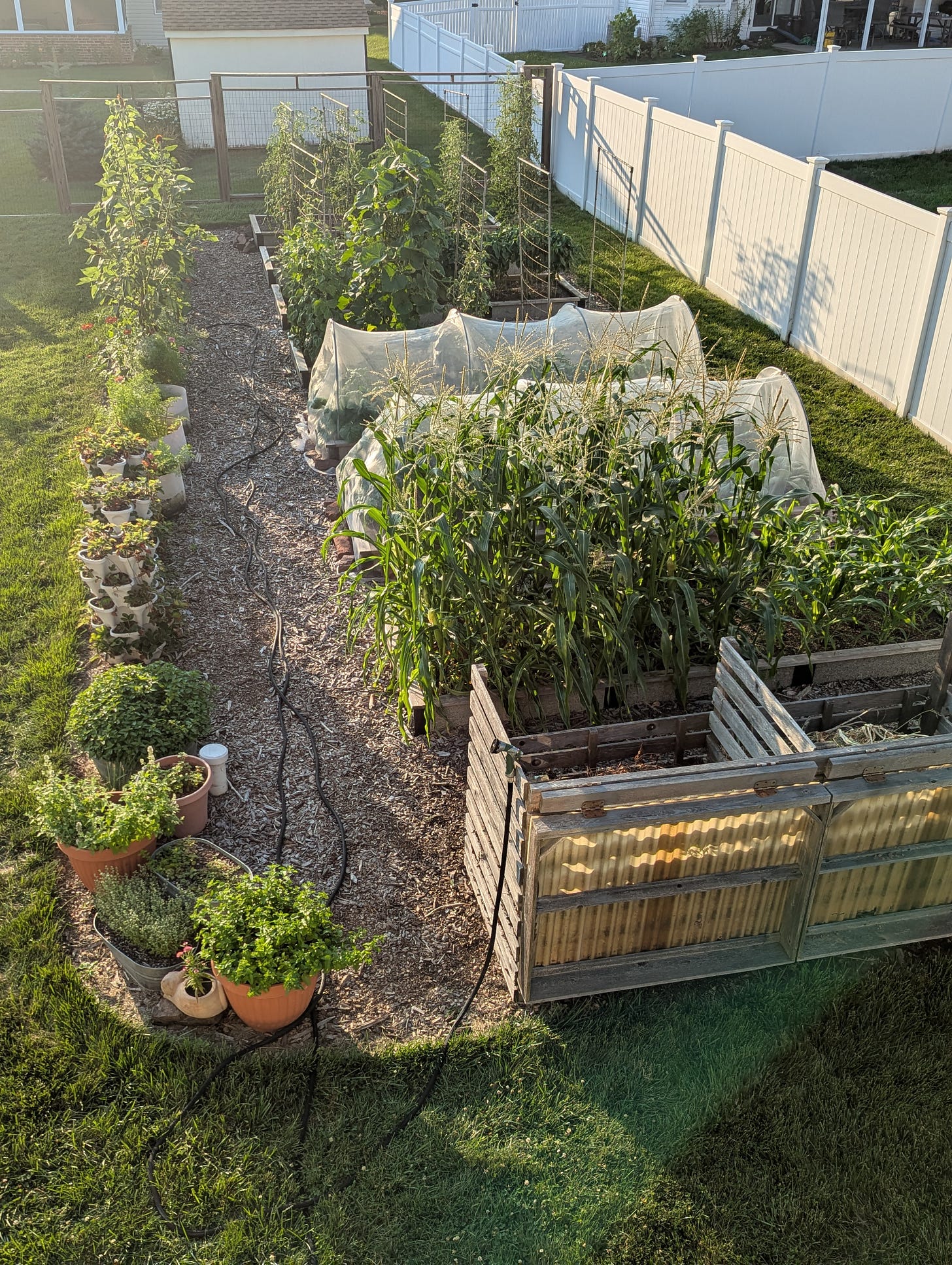 A vegetable garden area in the suburbs shows the weather aged compost bin system 5 years after it was installed at the head of the garden area.