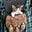 Yakut Mary's avatar