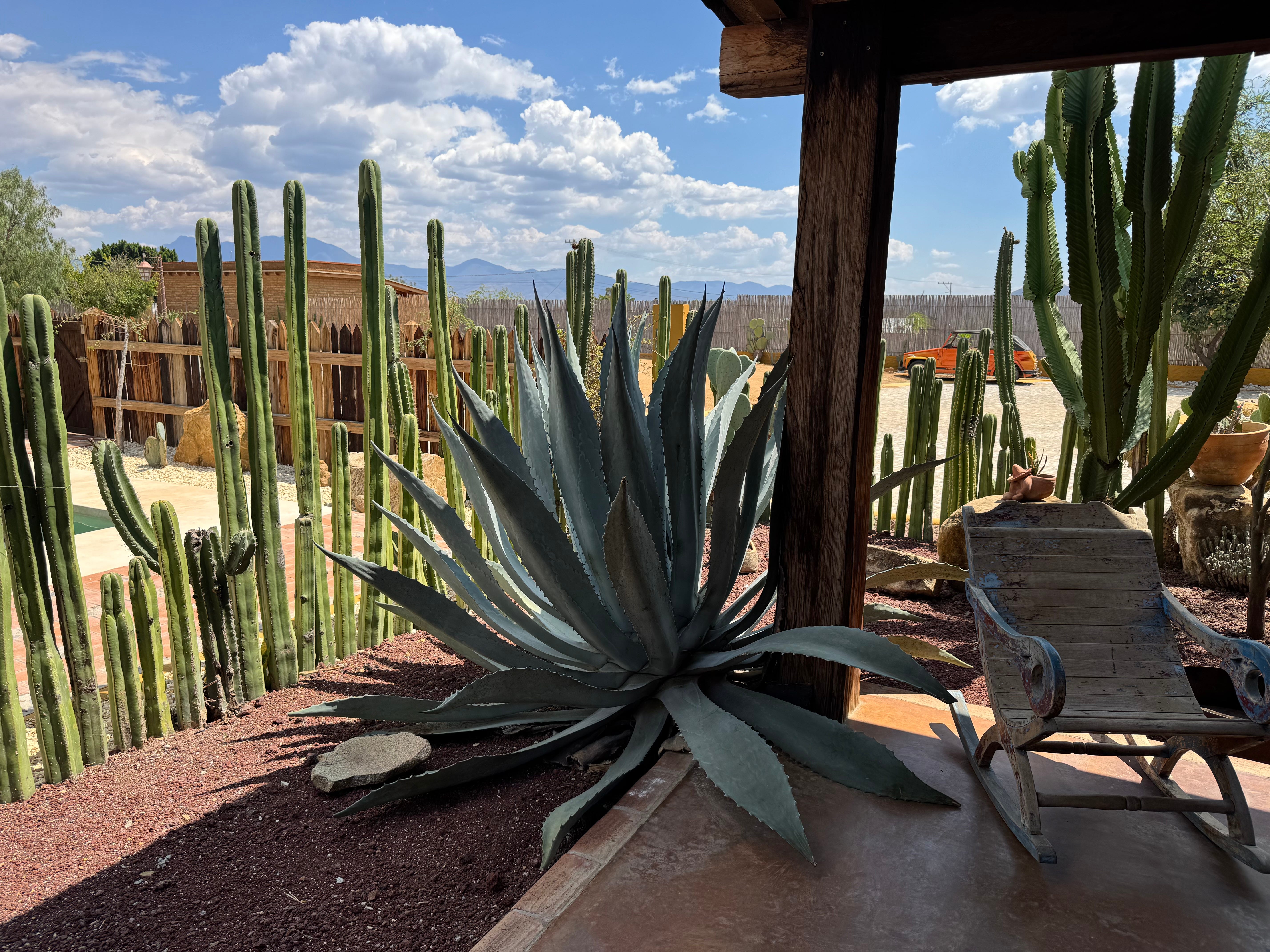 A Year in Oaxaca | Jacob Dean | Substack