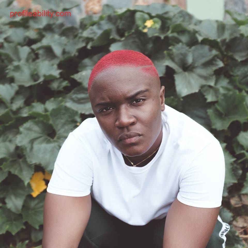 Amaarae Biography, Music, Videos, Booking - ProfileAbility