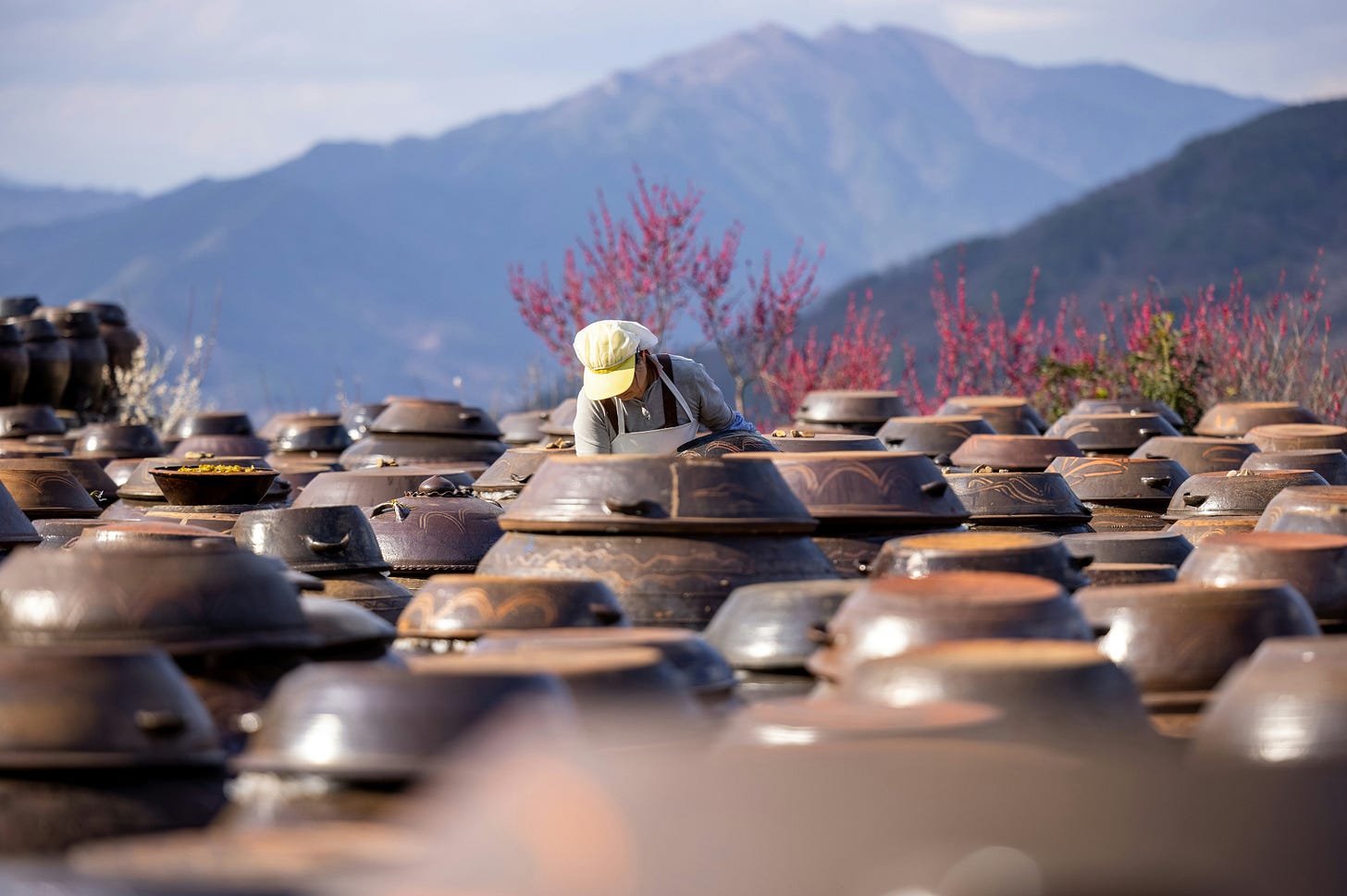 Photo by <a href="https://unsplash.com/@photosofkorea?utm_source=unsplash&utm_medium=referral&utm_content=creditCopyText">Photos of Korea</a> on <a href="https://unsplash.com/photos/a-large-group-of-clay-pots-sitting-on-top-of-a-field-ZcMJzvC0JDc?utm_source=unsplash&utm_medium=referral&utm_content=creditCopyText">Unsplash</a>       