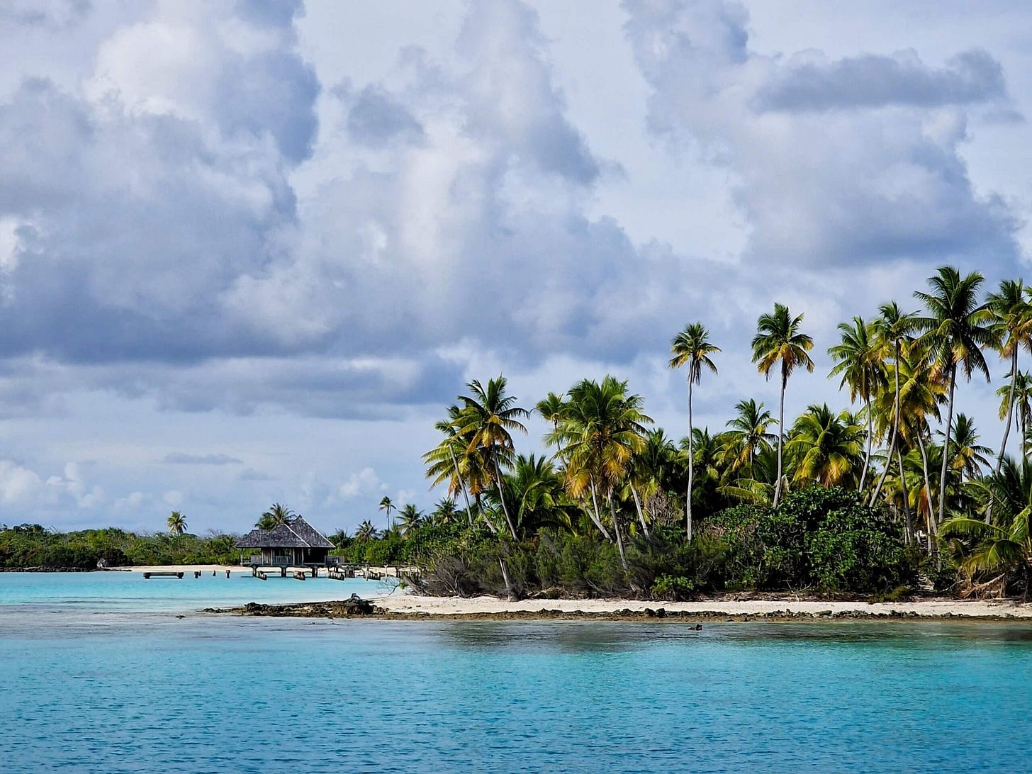 Letters From Polynesia: Mint Lollies & Mahi Mahi