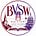 BigViewSmallWindow's avatar