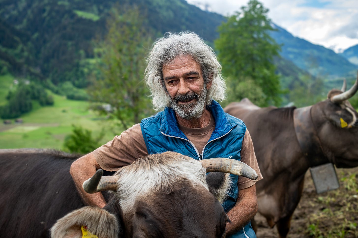 Landwirt Erwin Cathomen steht auf einer Bergweide und hält ein Grauvieh-Rind am Hals, während weitere Tiere im Hintergrund grasen. Er trägt eine blaue Steppweste über einem braunen T-Shirt, hat graues, lockiges Haar und einen Bart. Hinter ihm liegen grüne Hänge und bewaldete Bergrücken.
