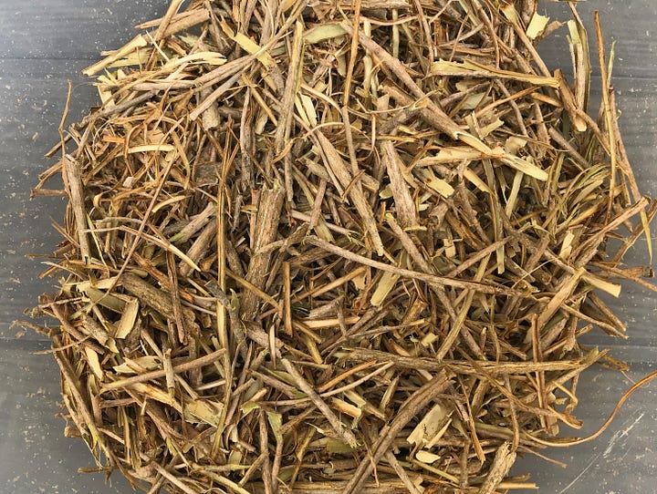 Light brown stem of cramp bark and cut dried bark pieces