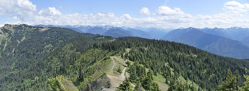 A mountain range with trees and mountains in the background

Description automatically generated