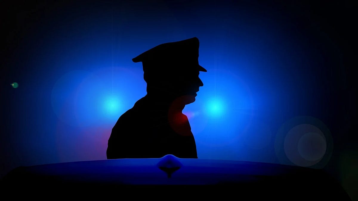 How to Survive Police Encounters With Style