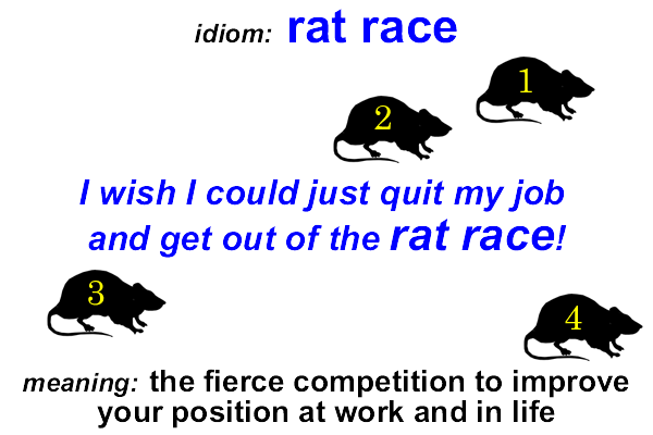 Idiom - Rat Race - Funky English