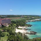 The most beautiful longevity story I've ever encountered...