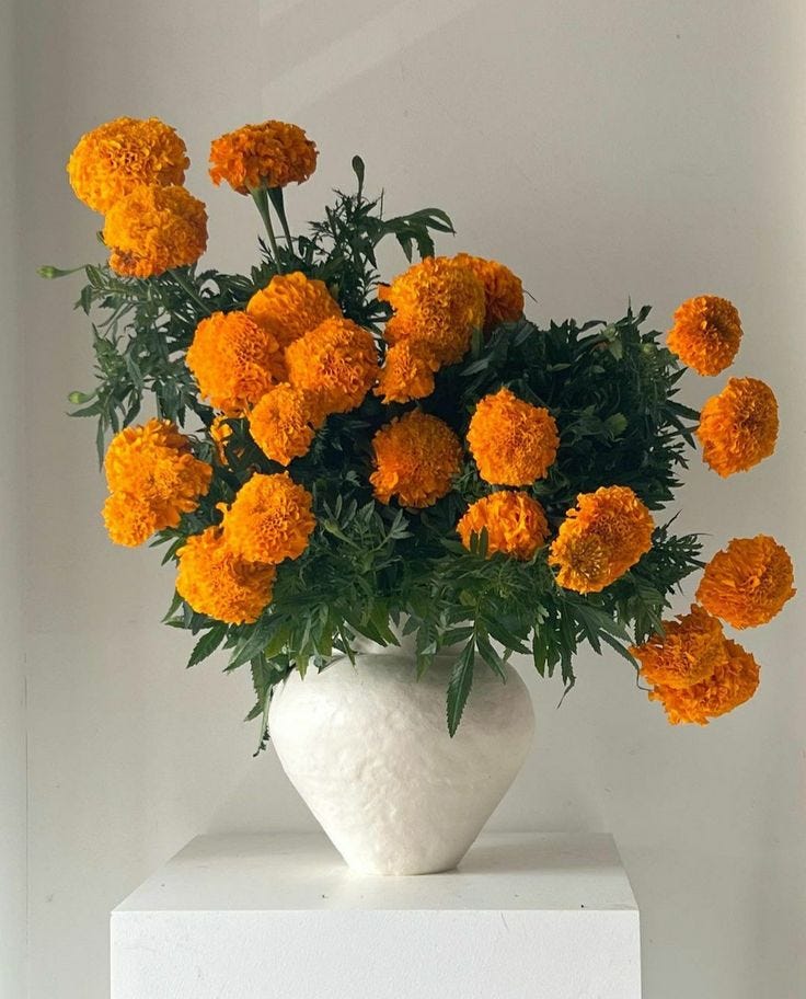 This may contain: a white vase filled with lots of orange flowers