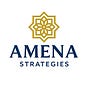 AMENA Insights's avatar
