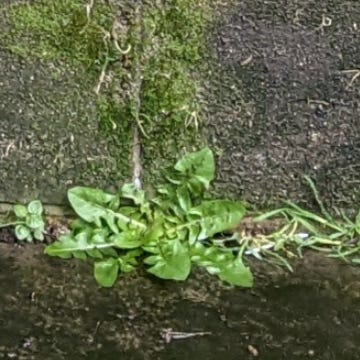 It was never just you and me